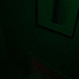 Meet your Posher, Vanessa de